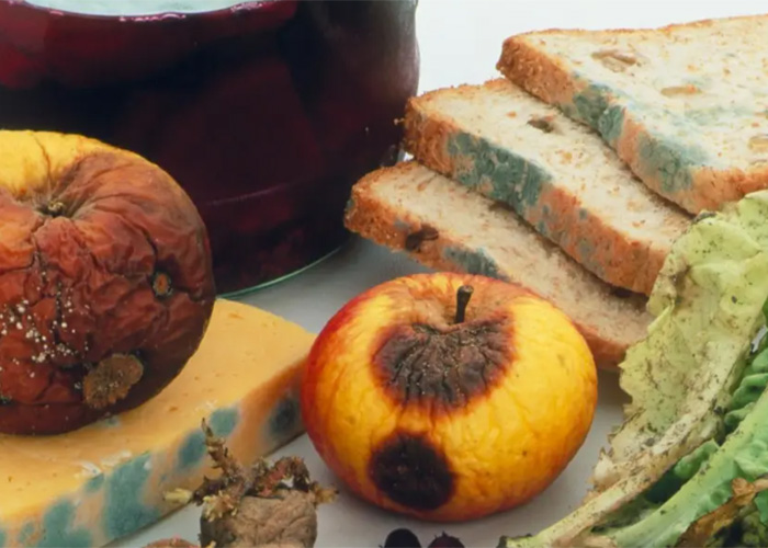 上海進口食品銷毀流程