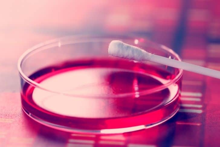 Q-Tips 是否可回收？