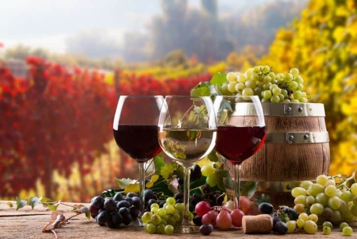 酒杯是怎么回收的？