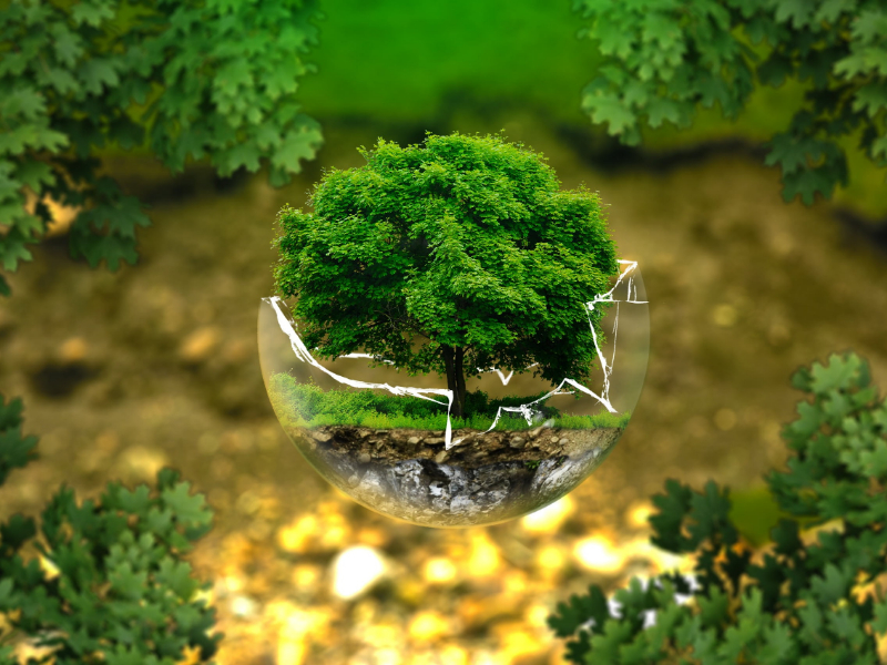 臨期的奶粉可以喝嗎?|過(guò)期奶粉銷毀 臨期的奶粉可以喝嗎?|過(guò)期奶粉銷毀